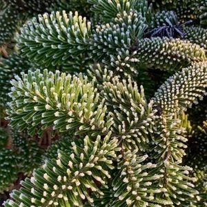 Meet your Posher, Tom